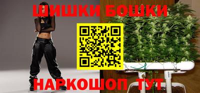 МДПВ Дубна