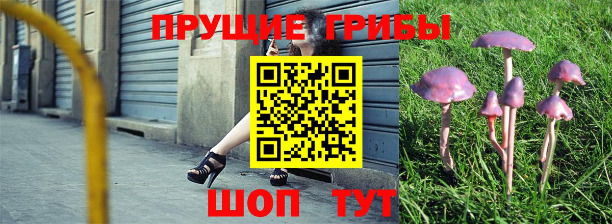 Псилоцибиновые грибы мухоморы  Псилоцибиновые грибы мицелий  Мирный  Вход с VPN 